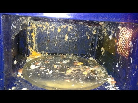 Видео: 20 вещей, которые нельзя ставить в микроволновку…