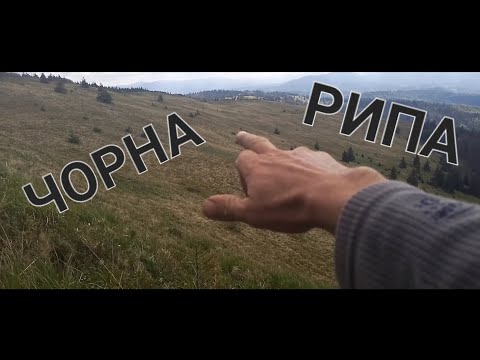 Видео: Що там на горі Чорна Рипа? Початок Тиси. Бескіди. Межа трьох областей.