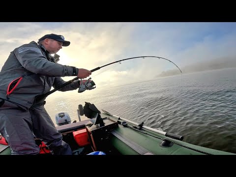 Видео: Рыбалка🎣 КЛЮНУЛ БОЛЬШОЙ СОМ И НАЧАЛОСЬ. Осенняя рыбалка на квок. Рыбалка на сома 2025.