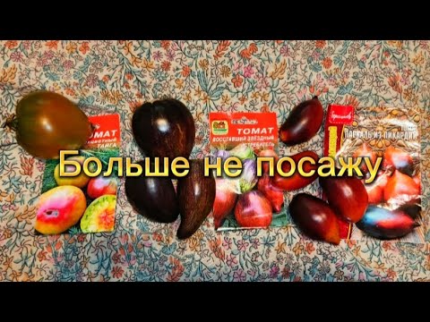 Видео: Эти томаты—разочарование сезона.У меня не получились. Шанса не дам.