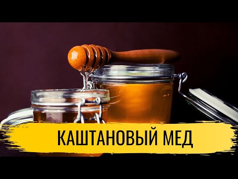 Видео: Мед. Каштановый мед