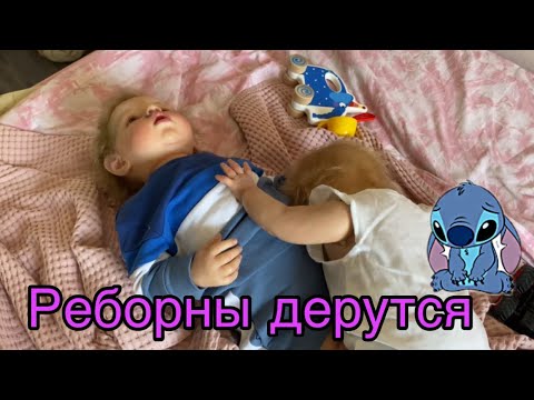 Видео: Лиам и Есения подрались | Что делать?