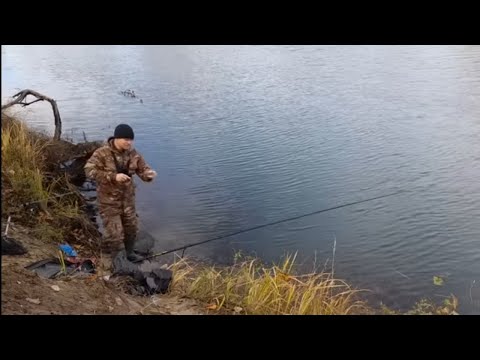 Видео: ВЕЛИКОЛЕПНАЯ РЫБАЛКА. Чудеса на дроп-шот оснастку.Рыбалка на поплавок!