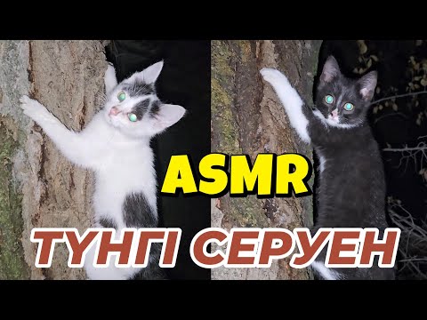 Видео: Неге діни АСМР видео шығармай қойдым? / Түнгі серуен / Ауыл атмосферасы / Сыбырлаған дауыс / ASMR