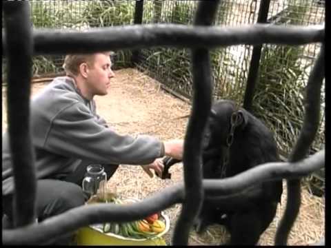 Видео: Байбаки и Олег Зубков