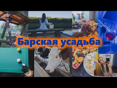 Видео: БАРСКАЯ УСАДЬБА | ПОЗВАЛИ СВЕТЛАНУ НА СКАМЕЙКУ