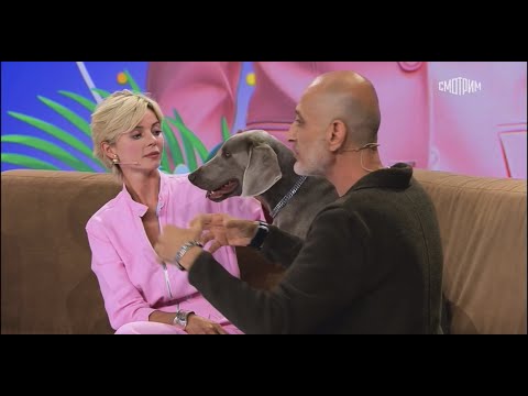 Видео: Отрывок из передачи "В кругу друзей" (Веймаранер)