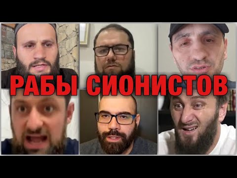 Видео: двухголовый дракон