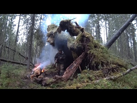 Видео: Отдыхаю среди медведей и лосей под корнем в непогоду.  Готовлю медвежатину с грибами. Топор спас