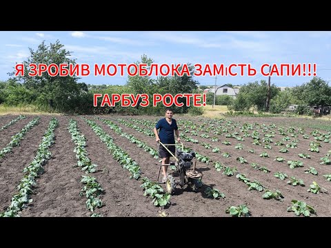 Видео: САМОРОБНИЙ МОТОБЛОК ЗАМІСТЬ САПИ🚜 ГАРБУЗ РОСТЕ!!!