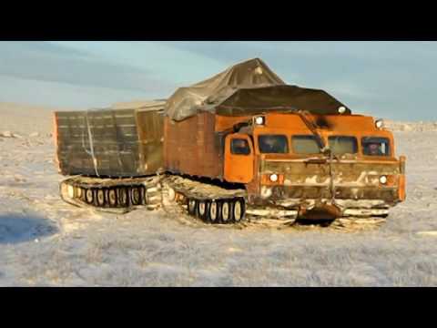 Видео: дт 30 витязь