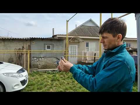 Видео: Брат с трудом Согласился Участвовать // Винтовая Игра у Бакинских Голубей
