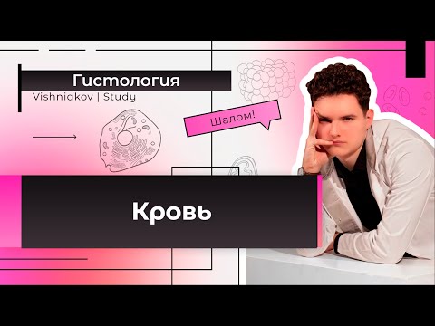 Видео: Гистология | КРОВЬ