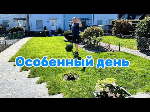Видео: Купили дом в Германии: тюльпановые поля, сад, уют в доме.