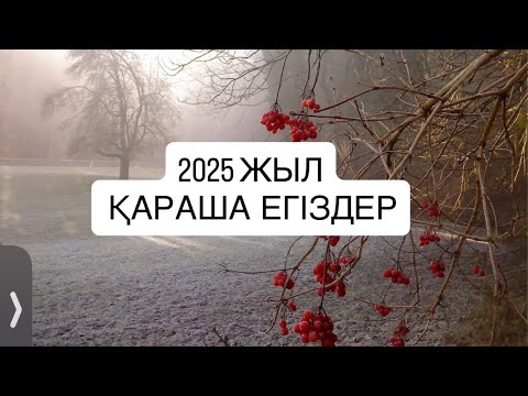 Видео: 2025 ЖЫЛ ҚАРАША айы ЕГІЗДЕР  #близнецы 