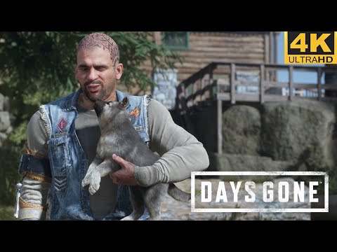 Видео: ЖИЗНЬ ПОСЛЕ ► Days Gone #16