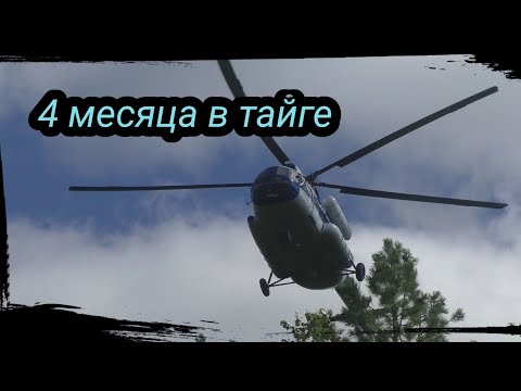 Видео: Перелетаем на другой кластер, Беломошники ура) Сезон 2020 серия 16. 4 месяца в тайге.