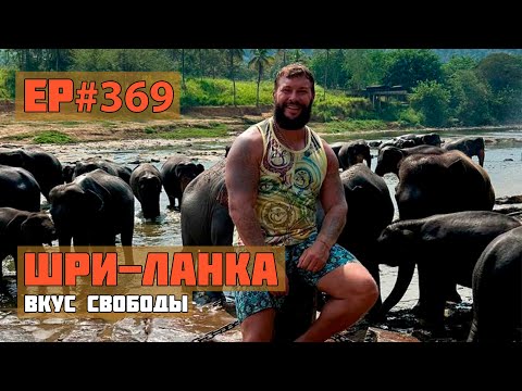 Видео: 369. Цены на Шри-Ланке. Сезон 2024. Часть 2