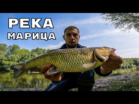 Видео: КЕФАЛОЗАВРИ от МАРИЦА