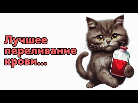 Видео: Переливание крови