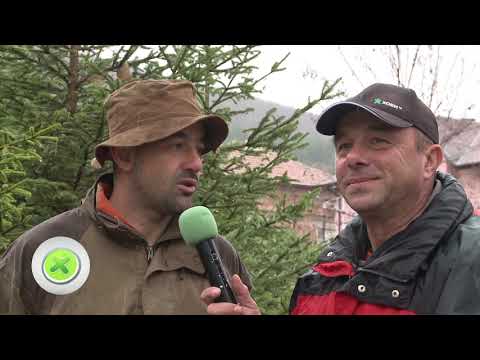 Видео: Грижа за дивеча в Бяга и Брестовица