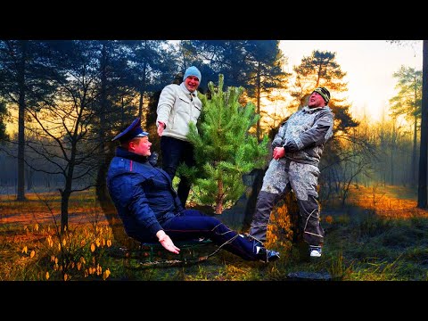 Видео: ПОХОД ЗА ЁЛКОЙ В НОЯБРЕ. Деревенский готовится к праздникам