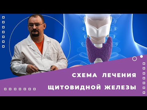 Видео: Схема лечения щитовидной железы