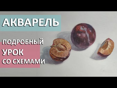 Видео: Уроки рисования акварелью со схемами и пояснениями. Акварель для начинающих. Цветоведение