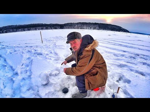 Видео: ВСТРЕТИЛ МУЖИКА НА РЫБАЛКЕ И ОФИГЕЛ! НА ЛЫЖАХ ПО ТАЙГЕ К ЕНИСЕЮ