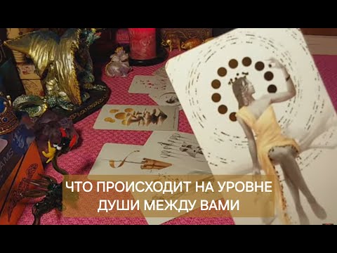 Видео: КВАНТОВЫЕ ОТНОШЕНИЯ,ЧТО ПРОИСХОДИТ НА УРОВНЕ ДУШИ МЕЖДУ ВАМИ