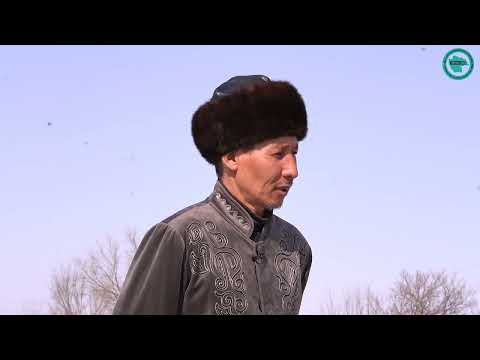 Видео: БАЛПЫҚ БИ КЕСЕНЕСІ