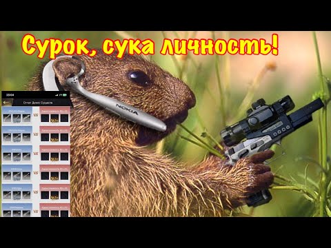 Видео: The Ants! Месть сурков!