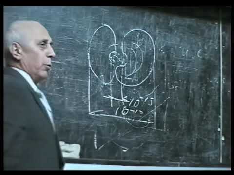 Видео: 8. Межмолекулярные взаимодействия, аура неживых предметов и живых организмов