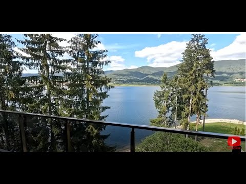 Видео: В Сърница кравите ги гледат като деца, даже им пускат музика! В сирената има само чисто мляко!