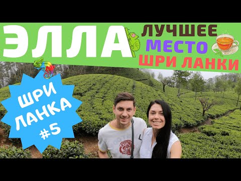 Видео: Шри Ланка. Элла. Чайные плантации. Девятиарочный мост. Малый пик Адама.