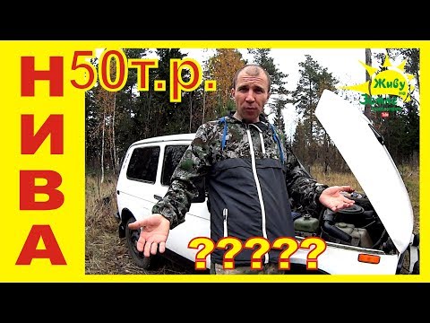 Видео: НИВА за 40-70т.р. Стоит ли брать? Какие могут быть сложности. ВЕДРОМОБИЛЬ или СУПЕР машина?