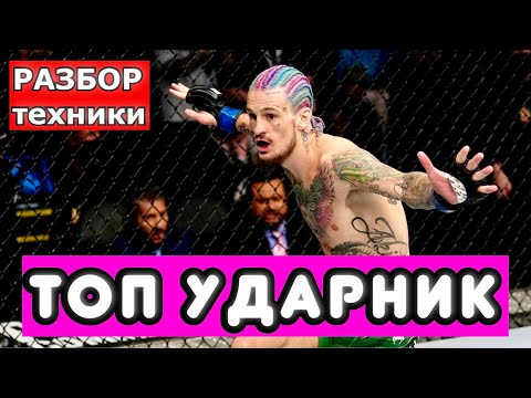 Видео: Шон О'Мэлли ПОЧЕМУ ТАКОЙ СИЛЬНЫЙ? РАЗБИРАЕМ ТЕХНИКУ ЛУЧШЕГО УДАРНИКА UFC! ПСИХОЛОГИЯ ПОБЕДЫ.
