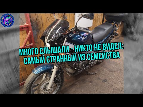 Видео: Honda NTV 650 Обслуживание и ремонт раненого и неправильного BROS