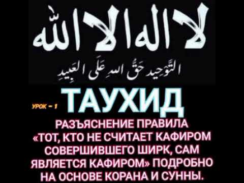 Видео:  Таухид. 3-пункт /Тот, кто не считает кафиром совершившего ширк, сам является кафиром» 