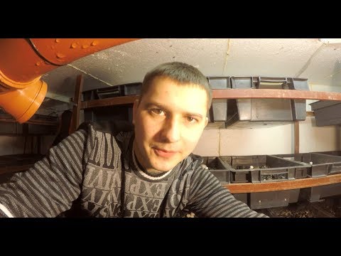 Видео: БИЗНЕС В ГАРАЖЕ. Мозг Шампиньонницы. Хм-18