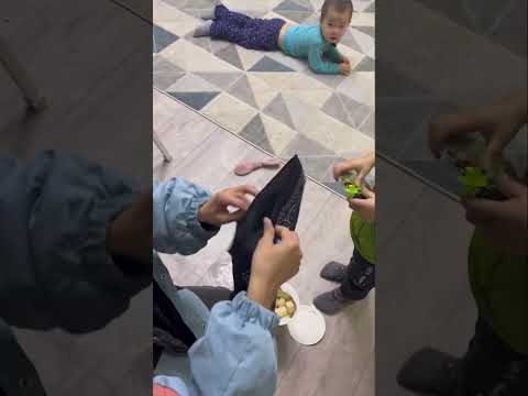 Видео: Шоко балапан🍫