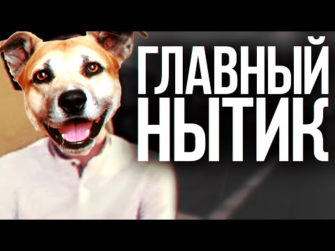 Видео: ГЛАВНЫЙ НЫТИК АРИЗОНА РП (позор) В GTA SAMP