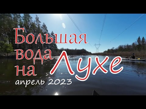 Видео: Большая вода на Лухе (апрель 2023)