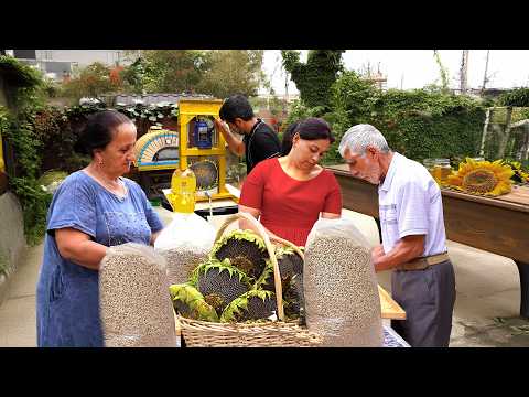 Видео: Мы в деревне делали подсолнечное масло и готовили на нем 5 видов блюд.