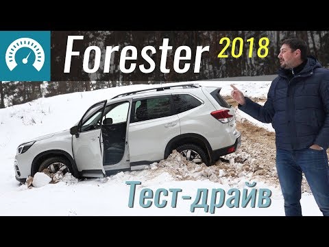 Видео: Где застрянет Форестер? Обзор Subaru Forester 2018