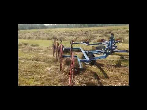 Видео: сенокос. т 40.грабали ворошилки. сгребание.