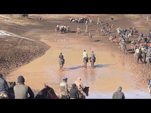 Видео: 🐎🐎🐎 Кечээги Аламан улак катуу кызыды  Алай, Жылуу Суу  23 02 2025