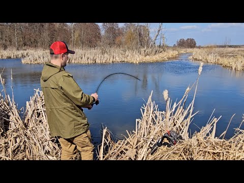 Видео: Нашел ЗАВОДЬ полную РЫБЫ! Рыбалка на УХОВЕРТКУ! Куча рыбы на Мормышинг! Спиннинг с берега
