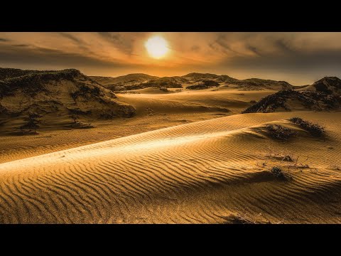 Видео: Под самой большой пустыней Китая найден океан