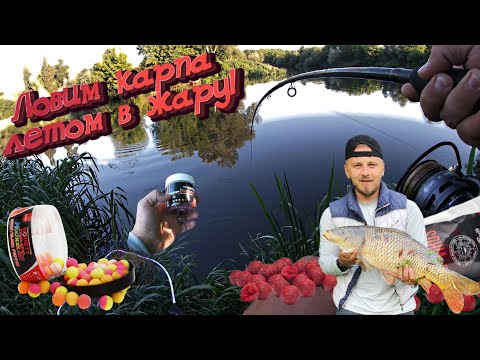Видео: Как поймать карпа на реке? Флэт метод в деле! Подробная инстукция.